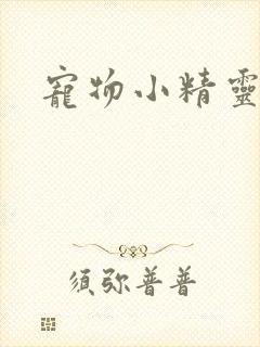 宠物小精灵之梦