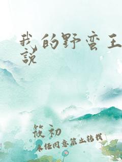 我的野蛮王妃小说