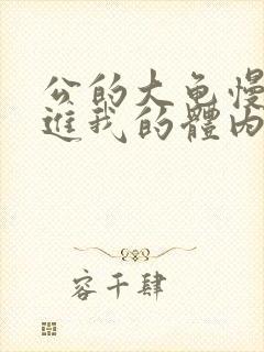 公的大龟慢慢挺进我的体内