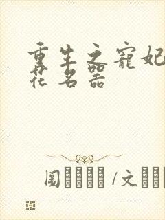 重生之宠妃白莲花名器