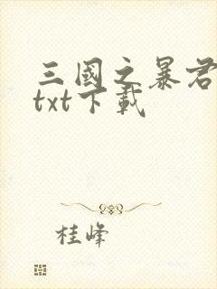 三国之暴君颜良txt下载