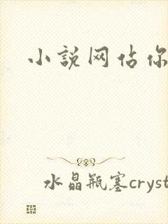 小说网站你懂的