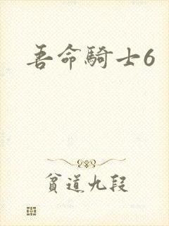吾命骑士6