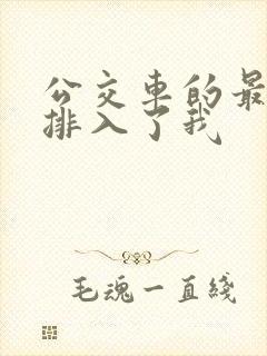 公交车的最后一排入了我