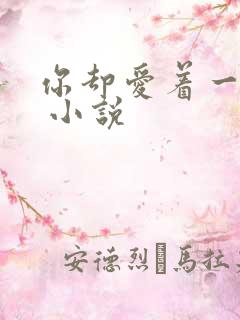 你却爱着一个他 小说