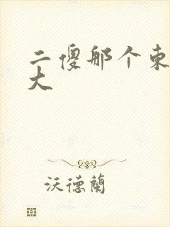 二傻那个东西真大