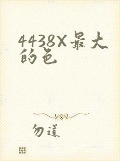 4438X最大的色