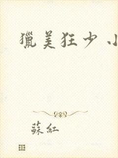 猎美狂少 小说