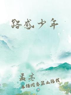 路感少年