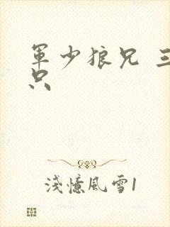 军少狼兄 三两只