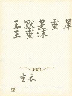 王默是灵犀阁公主灵沫