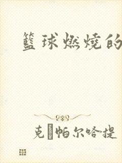 篮球燃烧的岁月