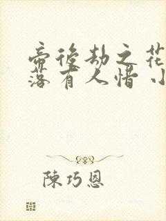 帝后劫之花开花落有人惜 小说