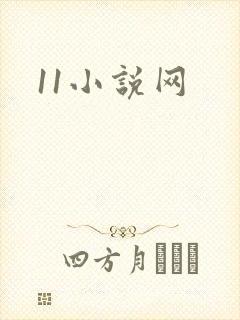 11小说网