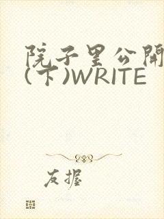 院子里公开惩戒(下)WRITE
