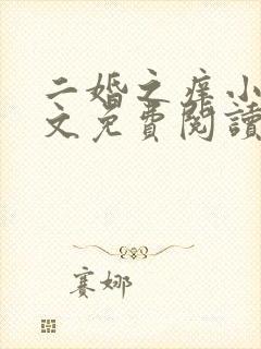 二婚之痒小说全文免费阅读
