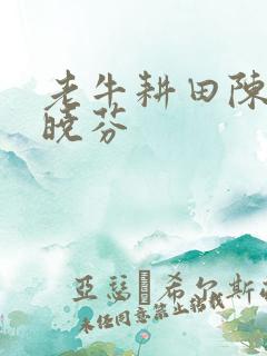 老牛耕田陈雪杨晓芬