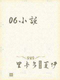06小说