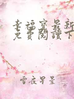 幸福宝最新章节免费阅读下载小说