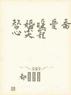 替婚暖爱乔少的心尖宠