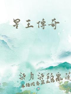 星王传奇