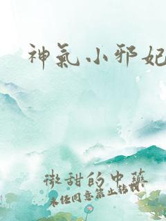 神气小邪妃