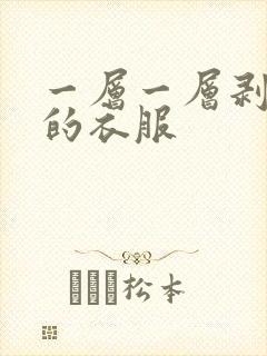 一层一层剥掉你的衣服