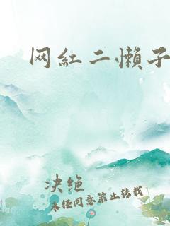 网红二懒子车祸