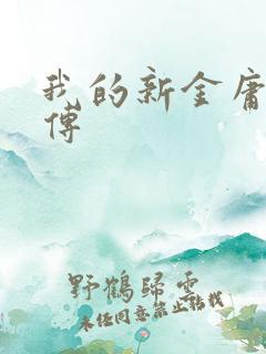 我的新金庸群侠传