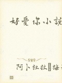 好爱你小说