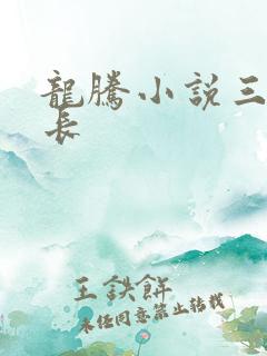 龙腾小说三宝局长