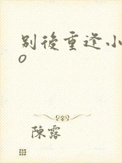 别后重逢小说po