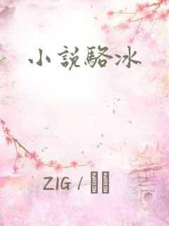 小说骆冰