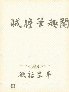 贼胆笔趣阁
