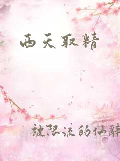 西天取精