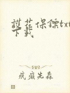 护花保镖txt下载