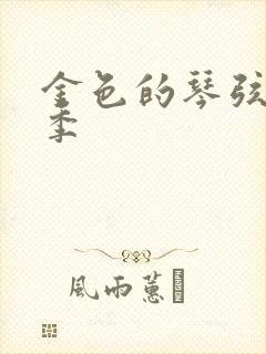 金色的琴弦第二季