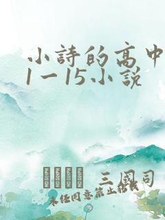 小诗的高中日记1一15小说