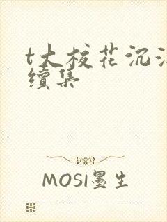 t大校花沉浮录续集