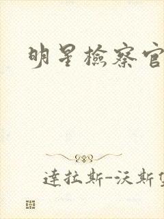 明星检察官小说