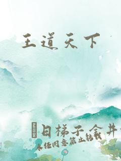 王道天下