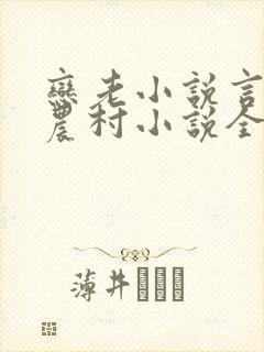 恋老小说言情网农村小说全文阅读