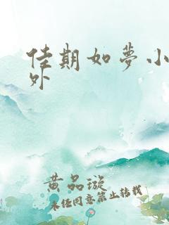 佳期如梦小说番外