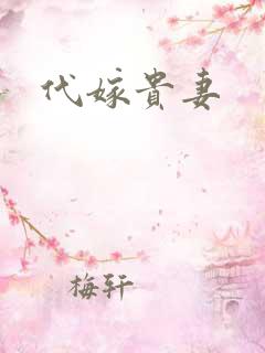 代嫁贵妻