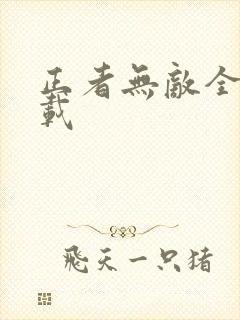 正者无敌全集下载