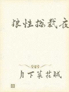 狼性总裁夜欢宠