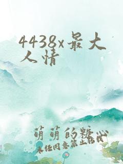 4438x最大人情
