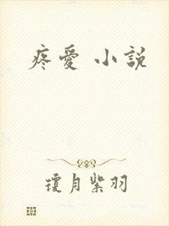 疼爱 小说