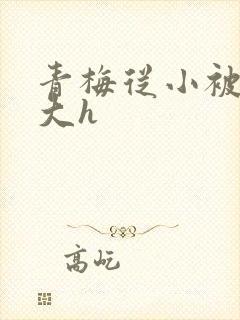 青梅从小被弄到大h