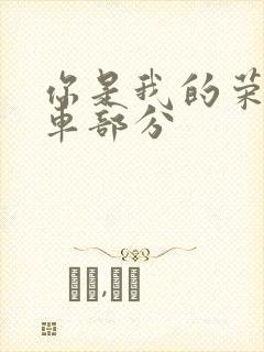 你是我的荣耀开车部分